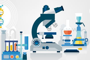 黑坑釣魚小藥自制全攻略 因地制宜調配，精準應對不同魚情